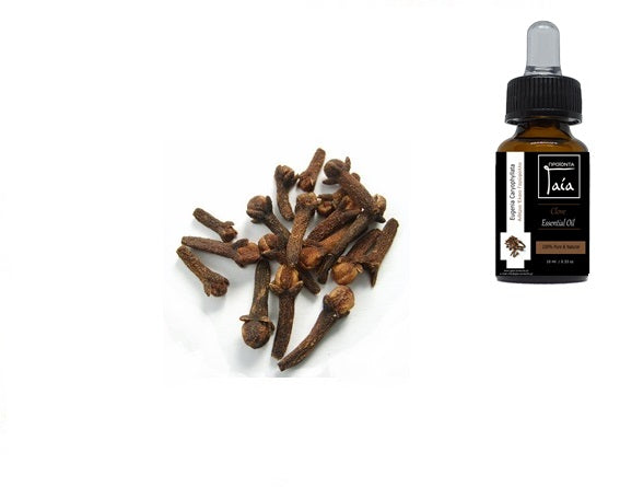 Γαρύφαλλο Αιθέριο Έλαιο 10ml