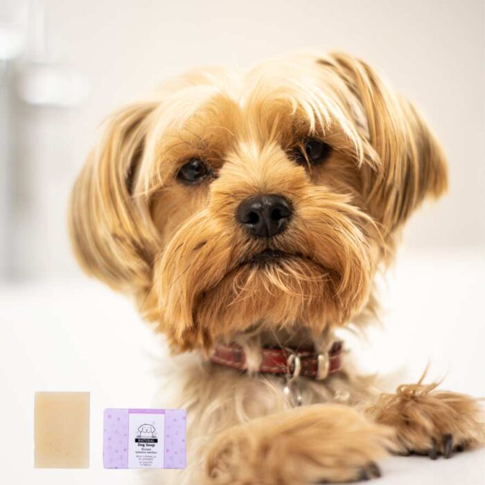 Σαπούνι Σκύλου – Dog Soap